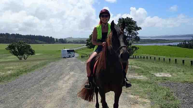 horse trekking bay of islands